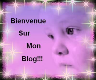 bienvenue a tous sur mon blog